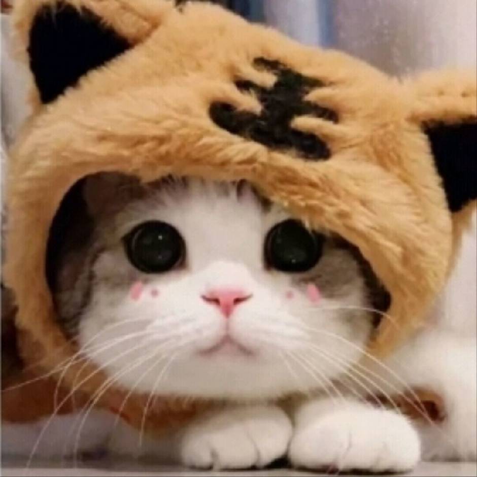 头像